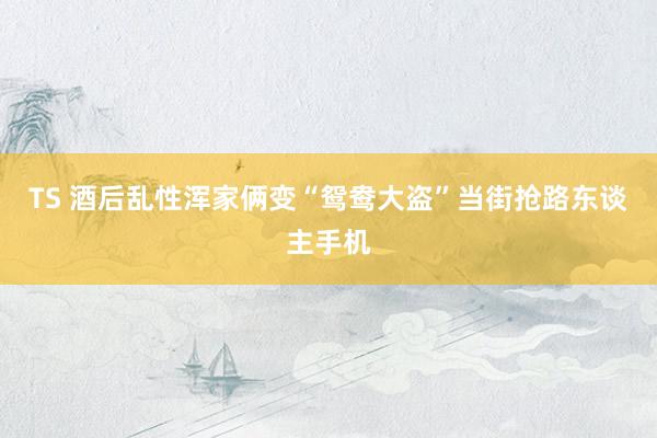 TS 酒后乱性　浑家俩变“鸳鸯大盗”当街抢路东谈主手机