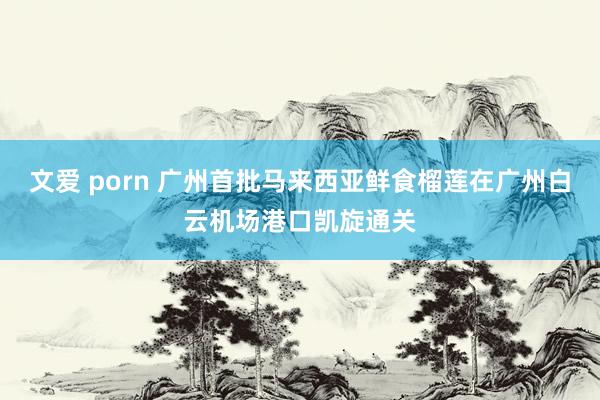 文爱 porn 广州首批马来西亚鲜食榴莲在广州白云机场港口凯旋通关
