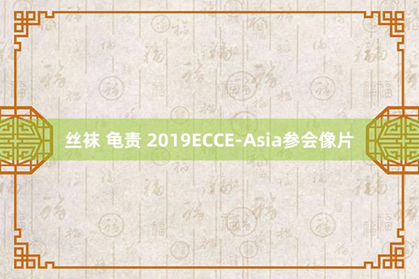 丝袜 龟责 2019ECCE-Asia参会像片