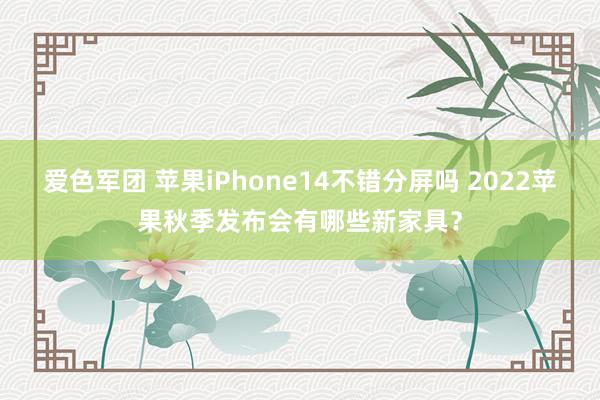爱色军团 苹果iPhone14不错分屏吗 2022苹果秋季发布会有哪些新家具?
