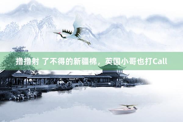 撸撸射 了不得的新疆棉，英国小哥也打Call