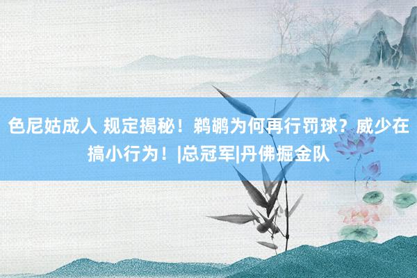 色尼姑成人 规定揭秘！鹈鹕为何再行罚球？威少在搞小行为！|总冠军|丹佛掘金队