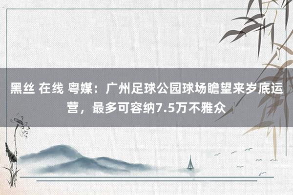 黑丝 在线 粤媒：广州足球公园球场瞻望来岁底运营，最多可容纳7.5万不雅众
