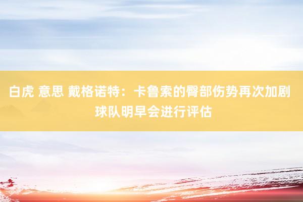 白虎 意思 戴格诺特：卡鲁索的臀部伤势再次加剧  球队明早会进行评估